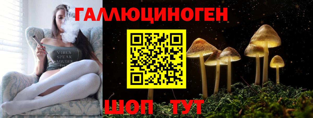Галлюциногенные грибы Psilocybe  Псилоцибиновые грибы мухоморы  Феодосия  Вход с VPN 